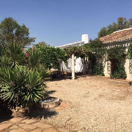 Casa Rural La Navarra Villarrobledo Extérieur photo