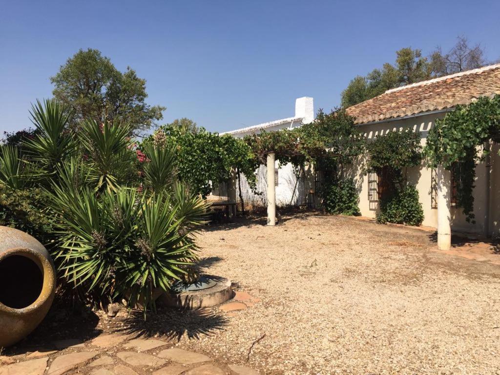 Casa Rural La Navarra Villarrobledo Extérieur photo