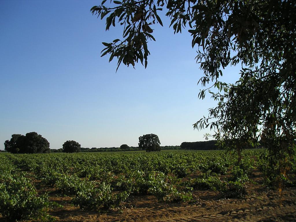 Casa Rural La Navarra Villarrobledo Extérieur photo